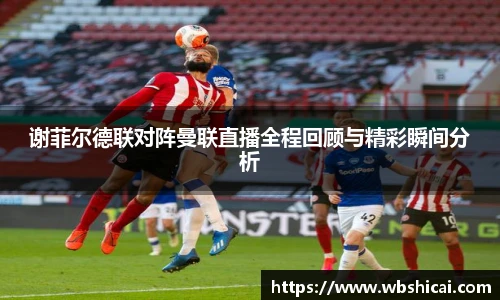 3377体育官网